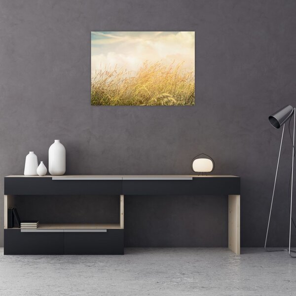 Obraz - Pole na jeseň (70x50 cm)