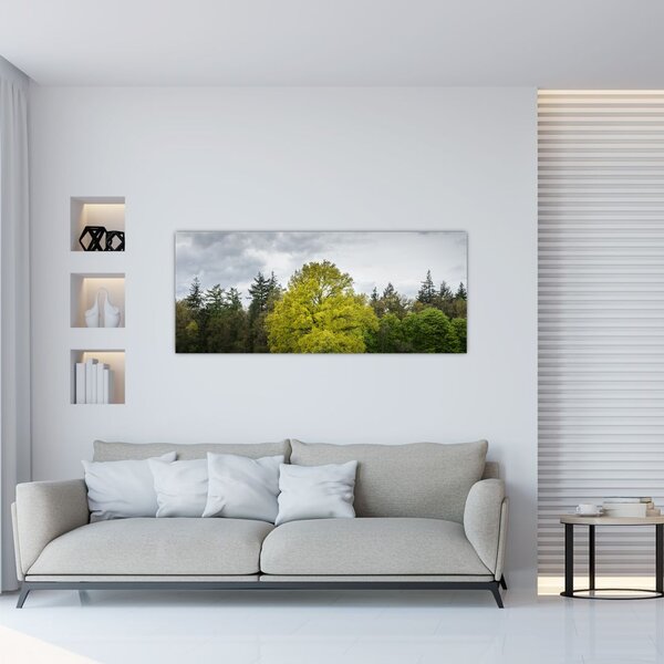 Obraz zeleného stromu uprostred poľa (120x50 cm)