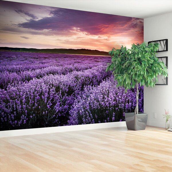 Fototapeta Vliesová Levanduľové polia 208x146 cm