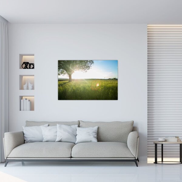 Obraz stromu v poli (90x60 cm)