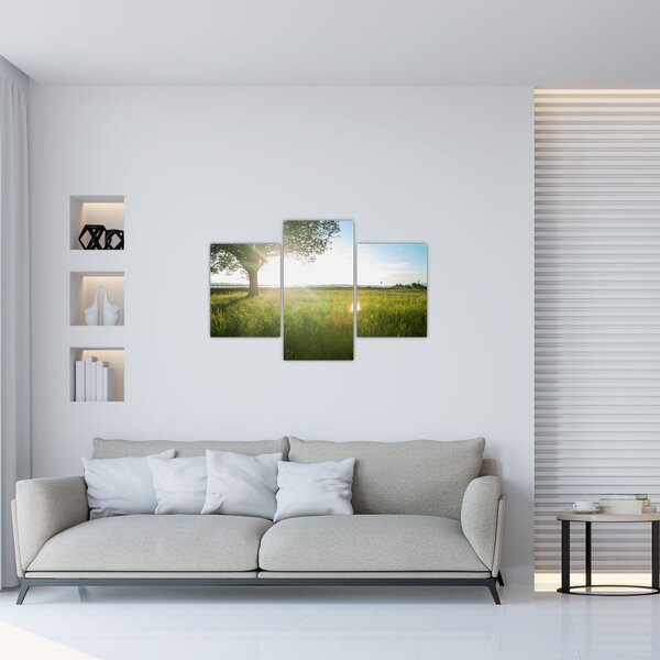 Obraz stromu v poli (90x60 cm)