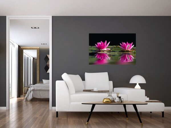Obraz lekien na vode (90x60 cm)