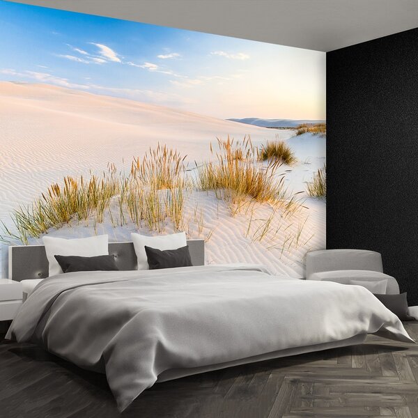 Fototapeta Vliesová Duny more 152x104 cm