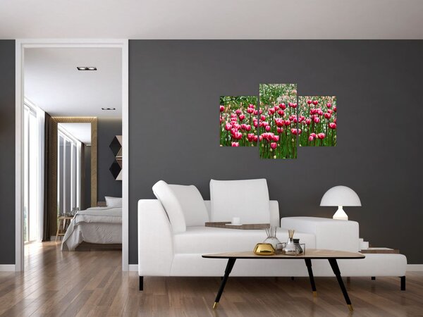 Obraz tulipánov (90x60 cm)