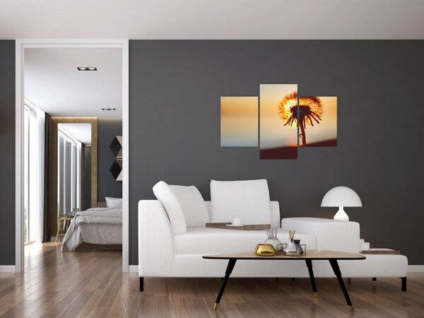 Obraz Púpavy v západe slnka (90x60 cm)