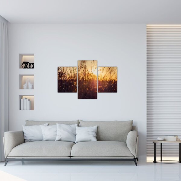 Obraz poľa pri západe slnka (90x60 cm)