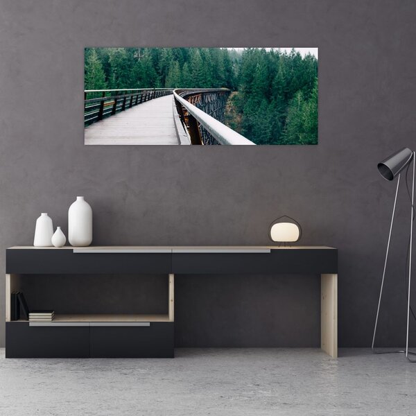 Obraz - Most k vrcholkom stromov (120x50 cm)