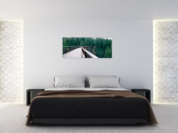 Obraz - Most k vrcholkom stromov (120x50 cm)