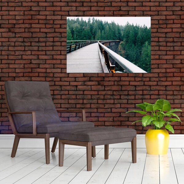 Obraz - Most k vrcholkom stromov (90x60 cm)