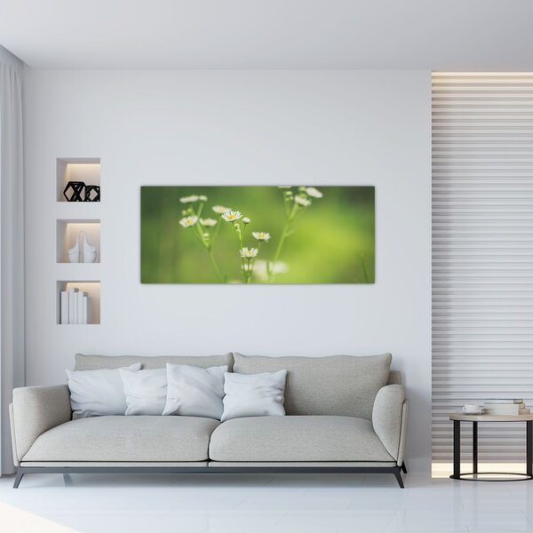 Obraz Sedmokrásky (120x50 cm)