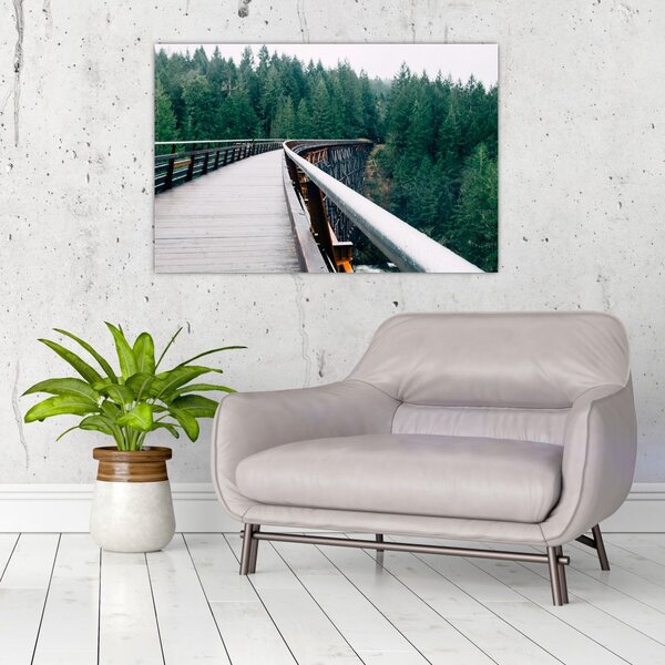 Obraz - Most k vrcholkom stromov (90x60 cm)