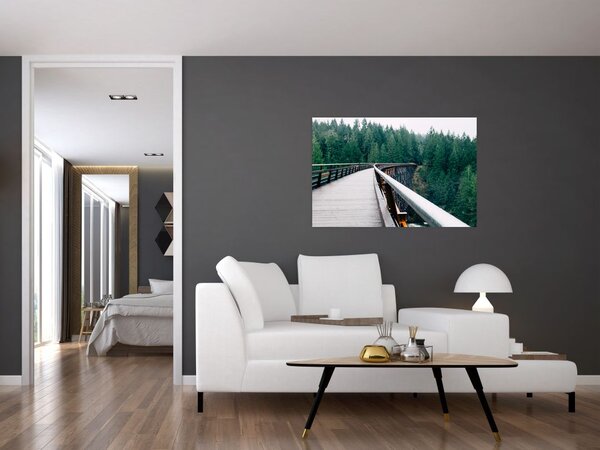 Obraz - Most k vrcholkom stromov (90x60 cm)