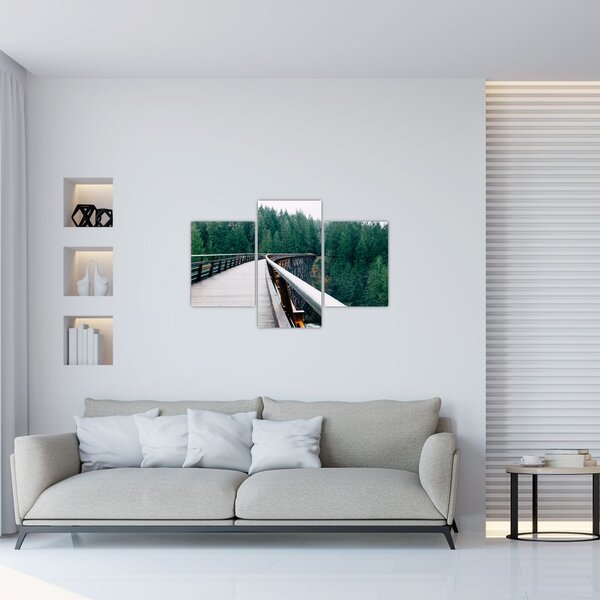 Obraz - Most k vrcholkom stromov (90x60 cm)