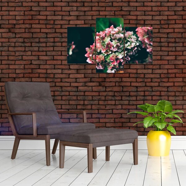 Obraz - Detail Hortenzie (90x60 cm)