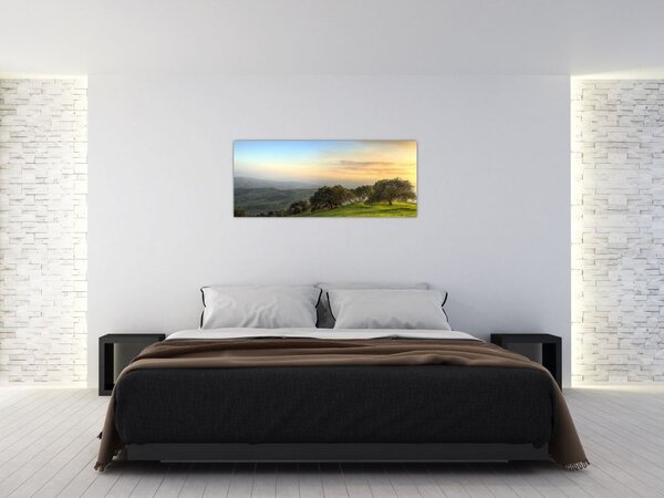 Obraz - Výhľad z kopca (120x50 cm)