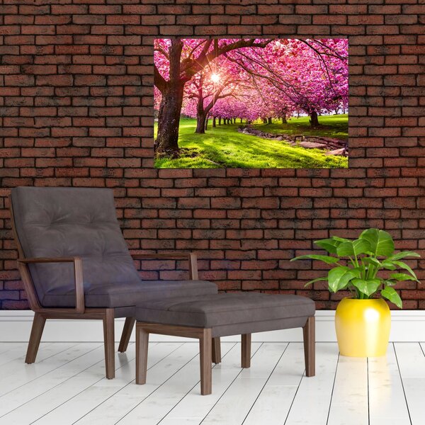 Obraz rozkvitnutých čerešní, Hurd Park, Dover, New Jersey (90x60 cm)