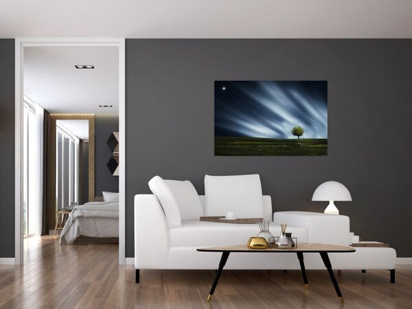 Obraz polárna žiara nad vresoviskom (90x60 cm)