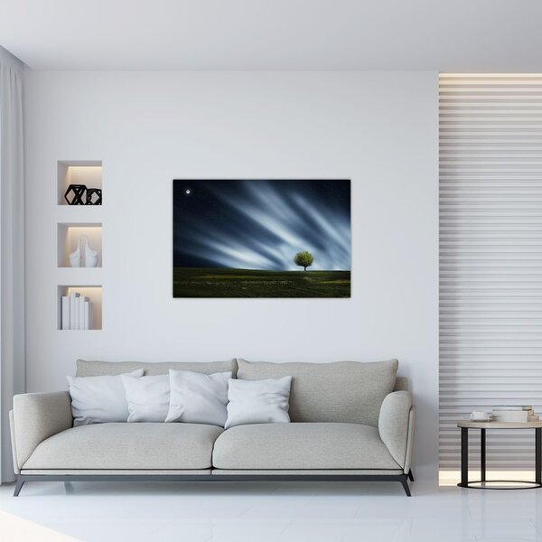 Obraz polárna žiara nad vresoviskom (90x60 cm)