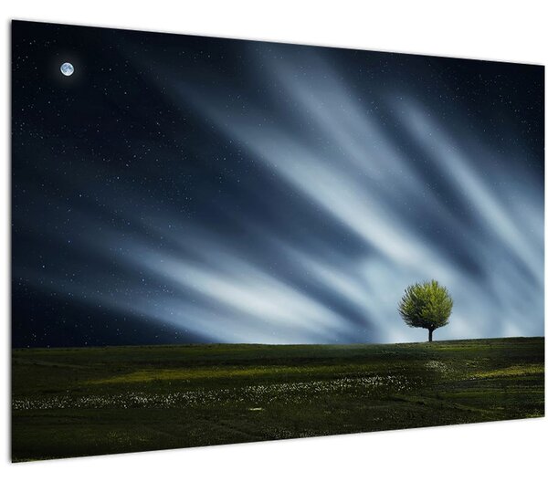 Obraz polárna žiara nad vresoviskom (90x60 cm)