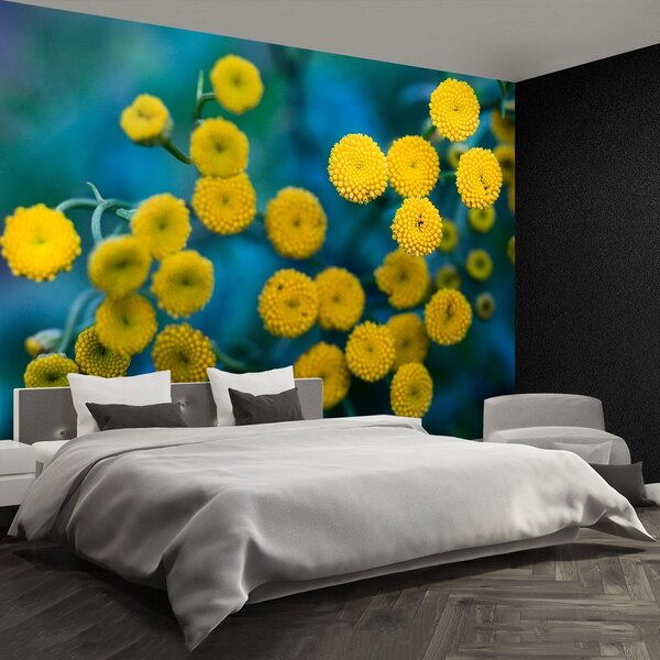 Fototapeta Vliesová Žlté kvety 250x104 cm
