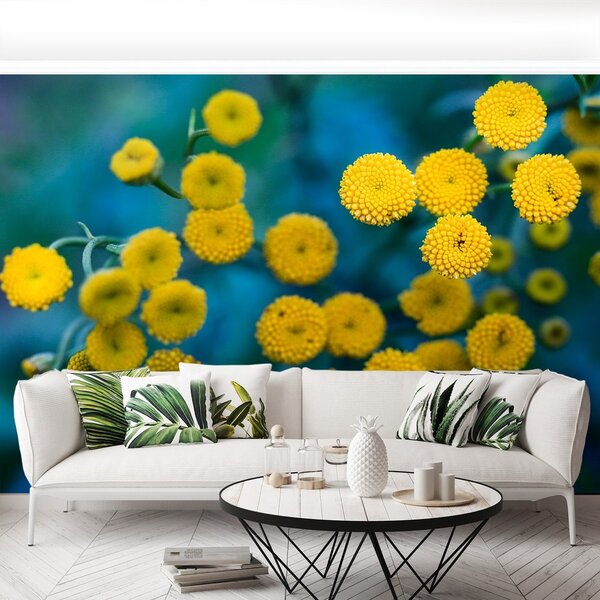 Fototapeta Vliesová Žlté kvety 250x104 cm