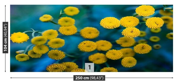 Fototapeta Vliesová Žlté kvety 250x104 cm
