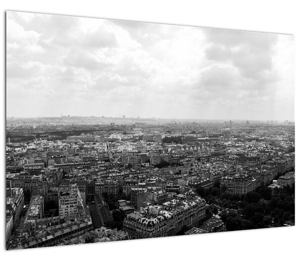 Obraz - Strechy domov v Paríži (90x60 cm)
