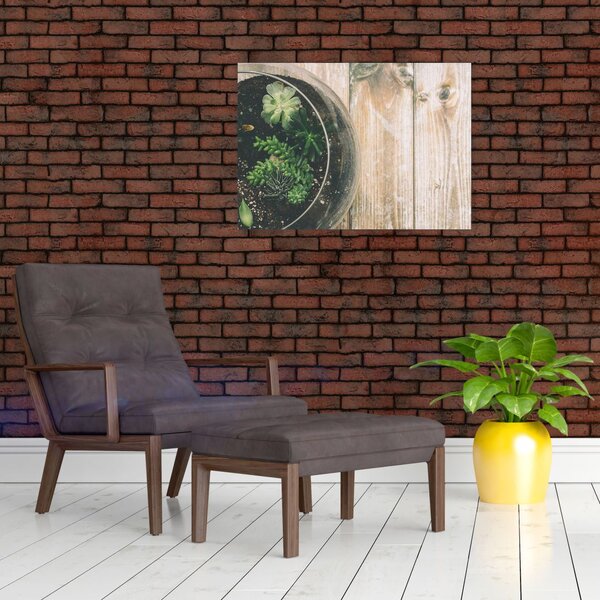 Obraz sukulentov v skle (70x50 cm)