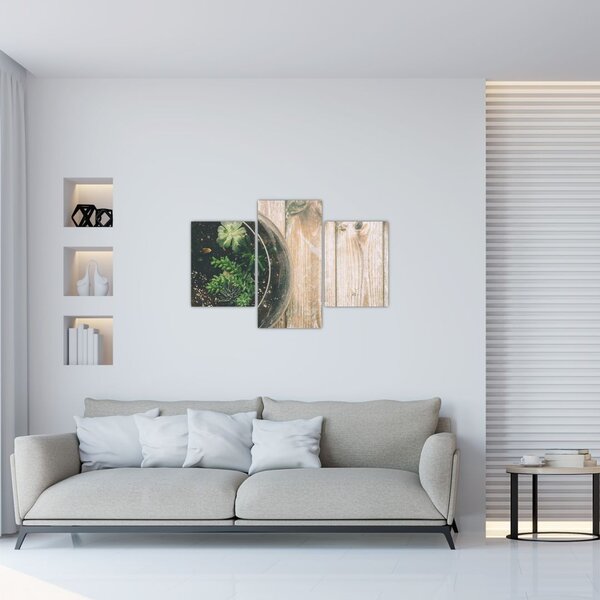 Obraz sukulentov v skle (90x60 cm)