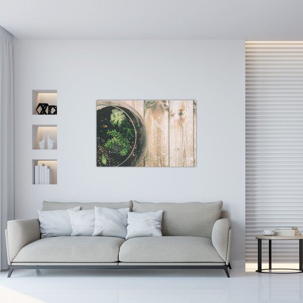 Obraz sukulentov v skle (90x60 cm)