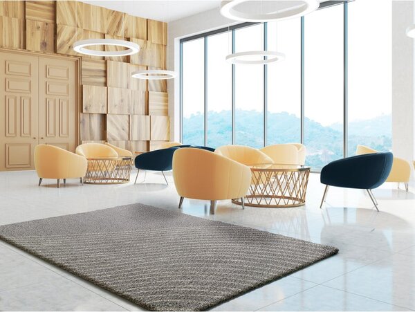 Sivý koberec 120x180 cm Coastalina – Selection