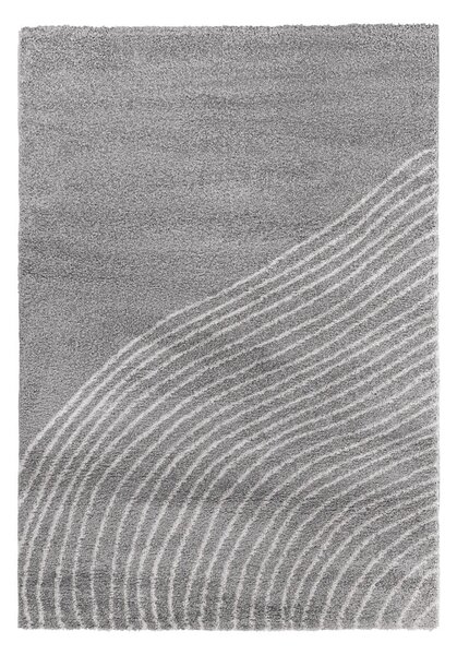 Sivý koberec 120x180 cm Coastalina – Selection