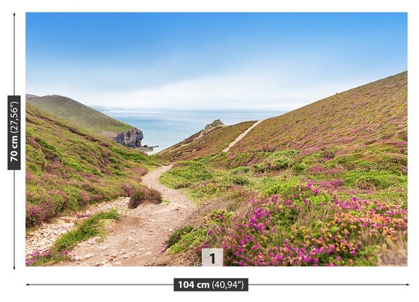 Fototapeta Vliesová Atlantik cornwall 104x70 cm