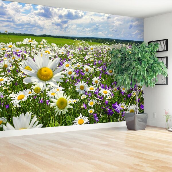 Fototapeta Vliesová Lúky a kvety 312x219 cm