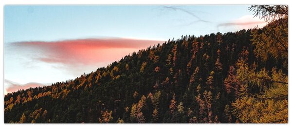 Obraz červánkov nad kopcom (120x50 cm)