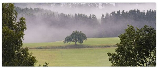 Obraz lúky so stromom (120x50 cm)