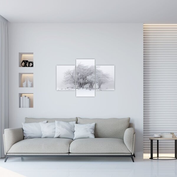 Obraz - Biela zima (90x60 cm)