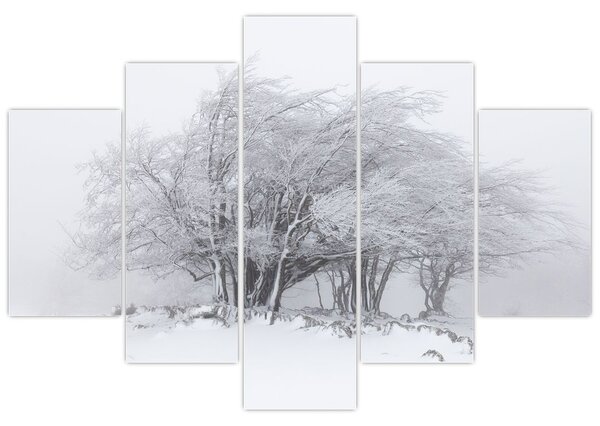 Obraz - Biela zima (150x105 cm)