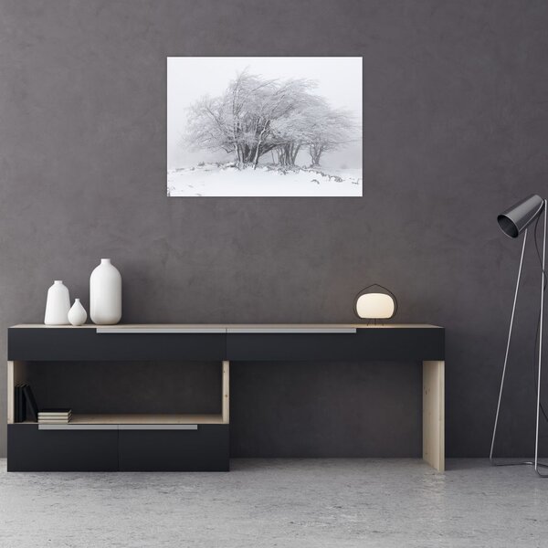 Obraz - Biela zima (70x50 cm)