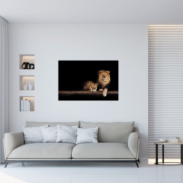 Obraz - Lev a levice (90x60 cm)