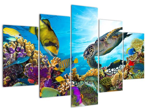 Obraz koralového útesu (150x105 cm)