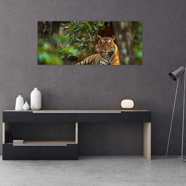 Obraz odpočívajúceho tigra (120x50 cm)