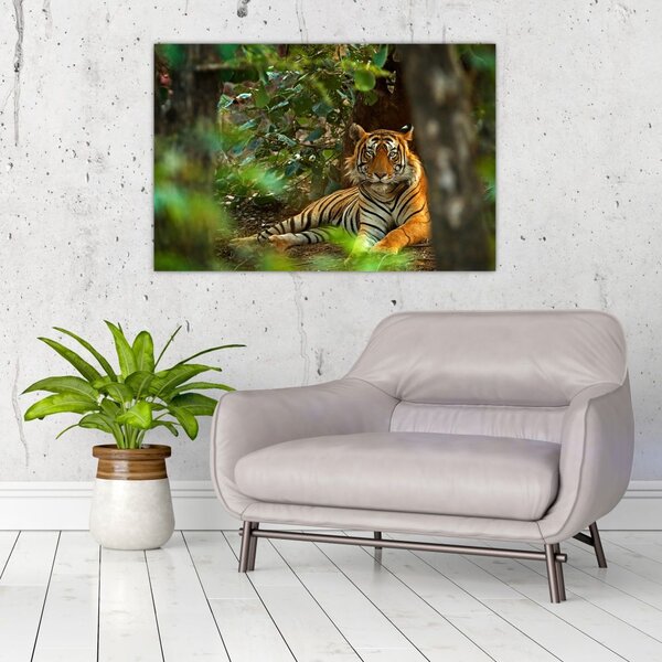 Obraz odpočívajúceho tigra (90x60 cm)