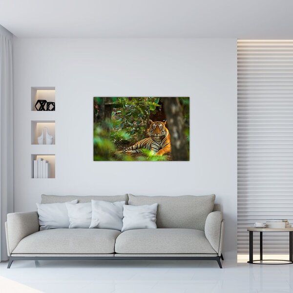 Obraz odpočívajúceho tigra (90x60 cm)