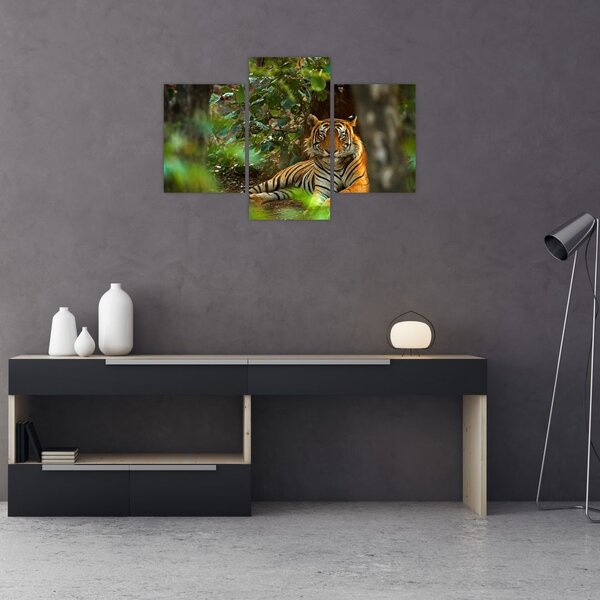 Obraz odpočívajúceho tigra (90x60 cm)