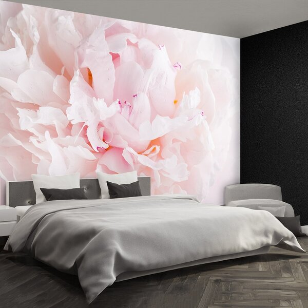 Fototapeta Vliesová Ružová pivoňka 152x104 cm