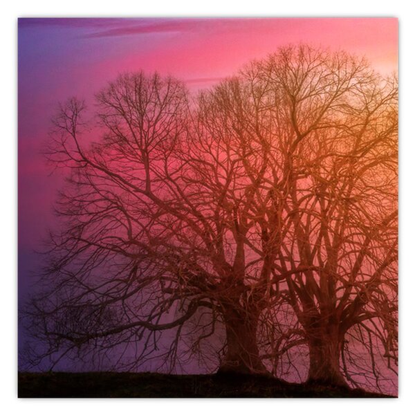 Obraz stromov v hmle (30x30 cm)