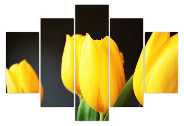 Obraz tulipánov (150x105 cm)