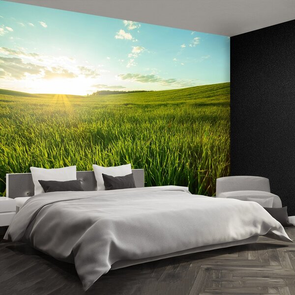 Fototapeta Vliesová Zelená lúka 104x70 cm