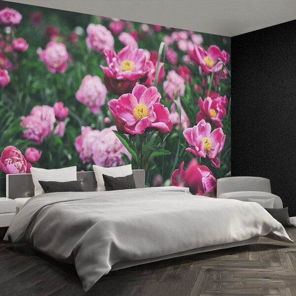 Fototapeta Vliesová Ružové pivónie 104x70 cm